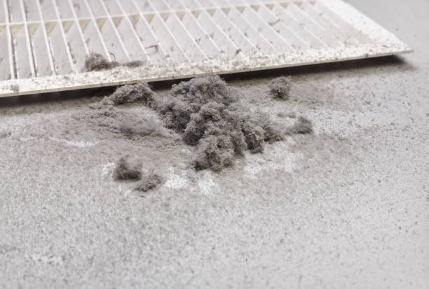 Best Affordable HVAC Duct Cleaning  in First Mesa, AZ
