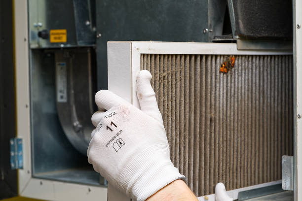 Best Air Vent Cleaning Services  in First Mesa, AZ